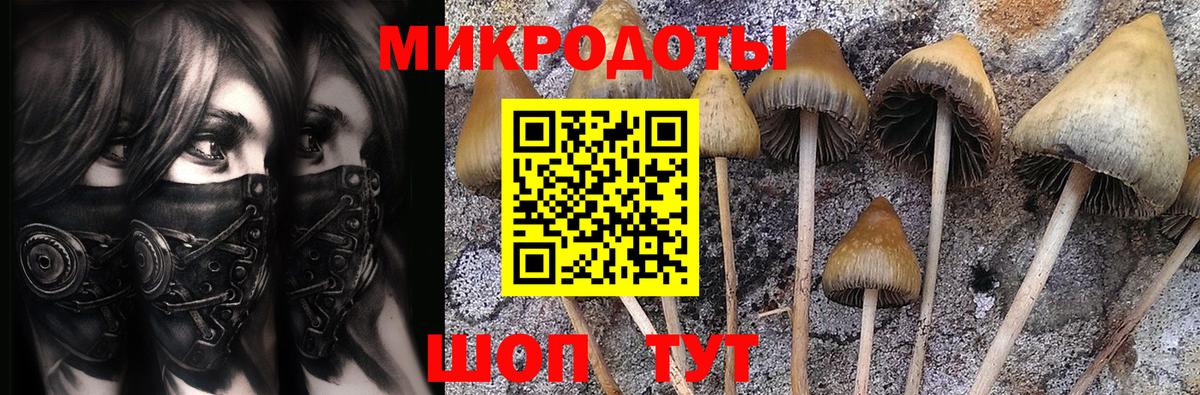 Псилоцибиновые грибы мухоморы  Вход с VPN  Ялуторовск  Галлюциногенные грибы Psilocybine cubensis 